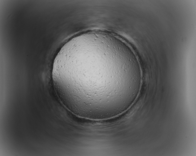 X0000089361359200706291033