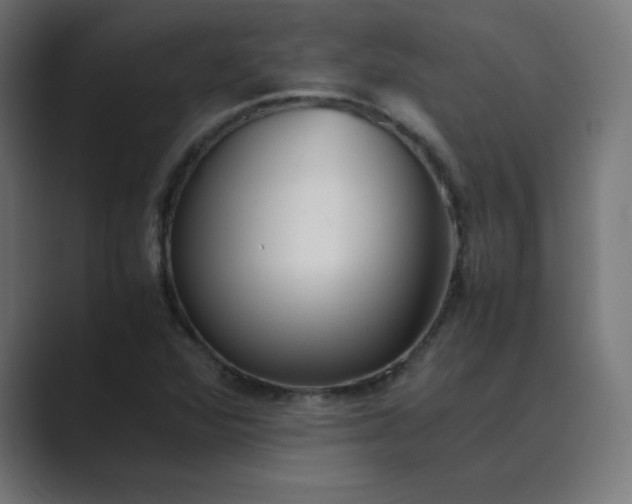 X0000089361360200706291033