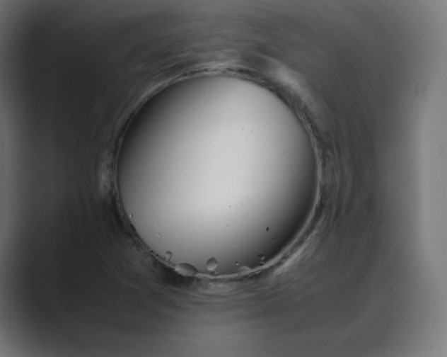 X0000089361361200706291033