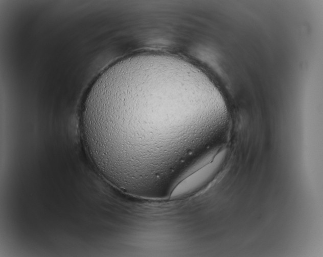 X0000089361362200706291033