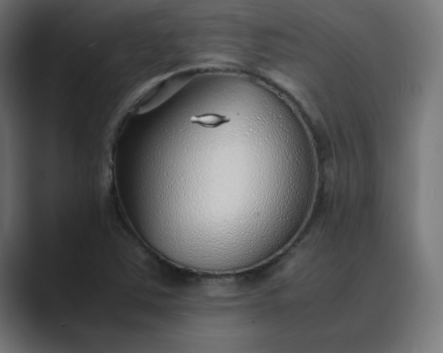 X0000089361363200706291033