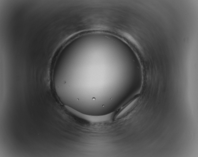 X0000089361364200706291033