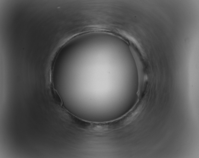 X0000089361365200706291033