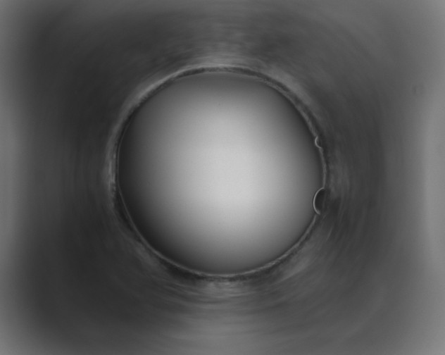 X0000089361366200706291033
