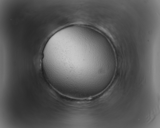 X0000089361367200706291033