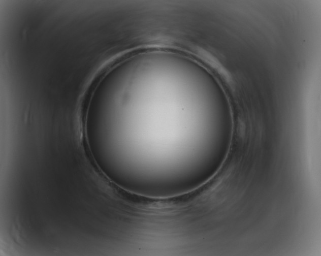 X0000089361368200706291033