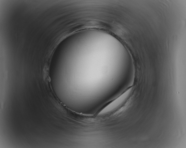 X0000089361369200706291033