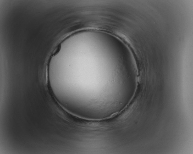 X0000089361371200706291033