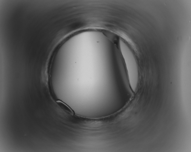 X0000089361372200706291033