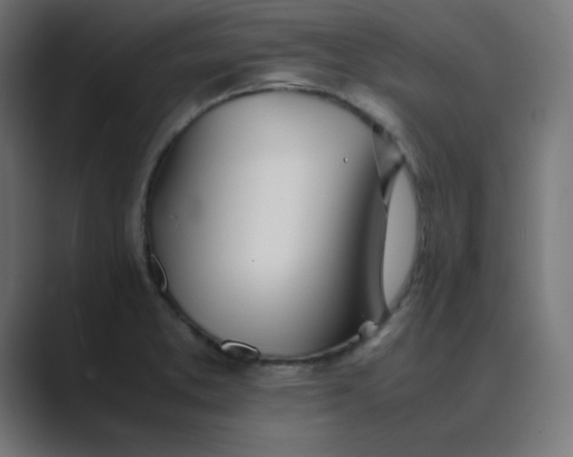 X0000089361373200706291033