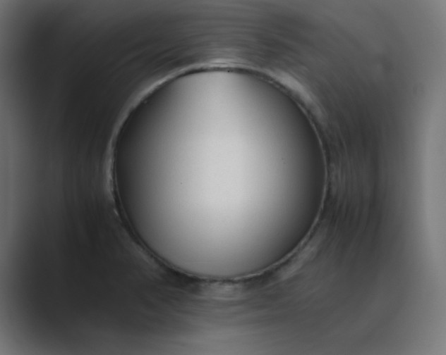 X0000089361374200706291033