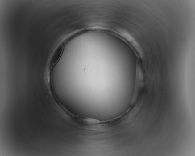 X0000089361376200706291033