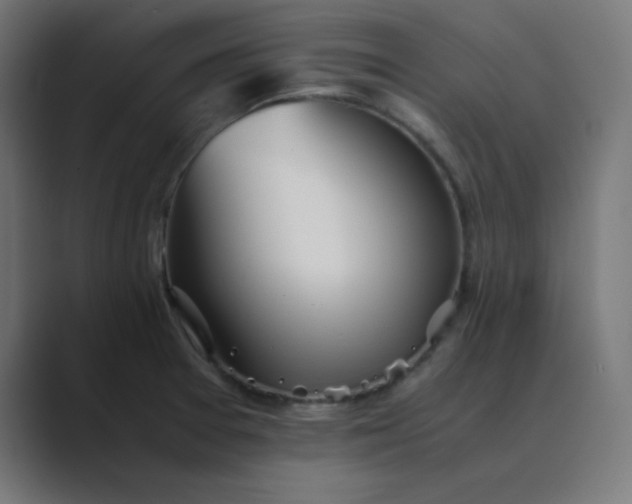 X0000089361377200706291033