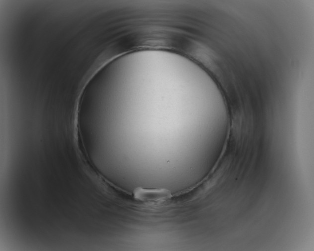 X0000089361378200706291033