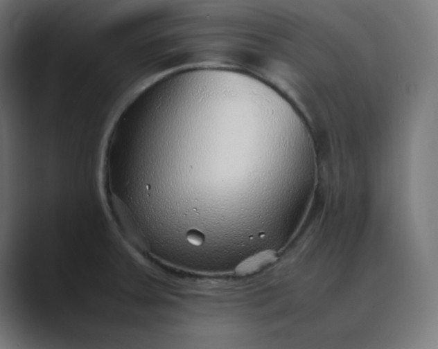 X0000089361379200706291033