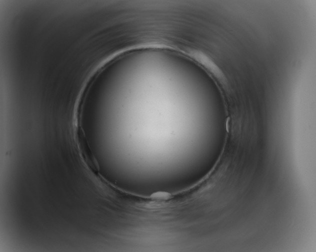 X0000089361380200706291032
