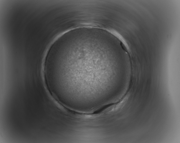 X0000089361381200706291032