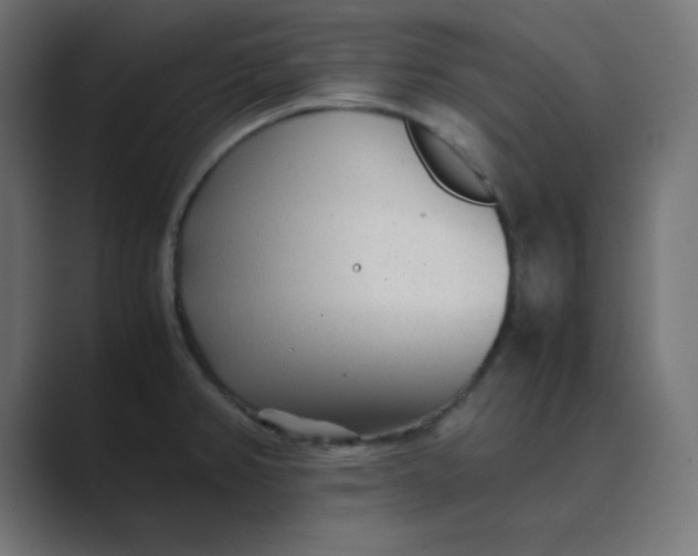 X0000089361382200706291032