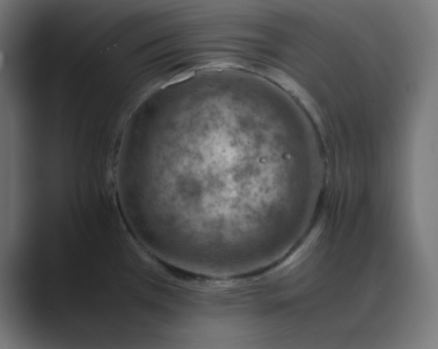 X0000089361385200706291032