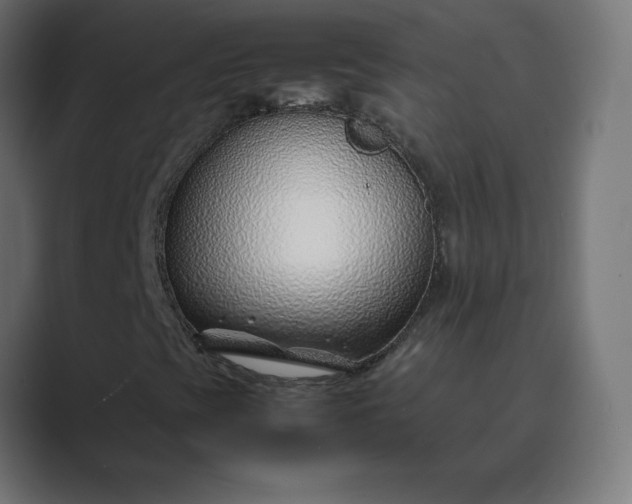 X0000089361393200706291032