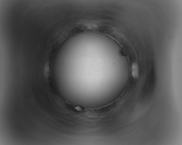 X0000089361395200706291032