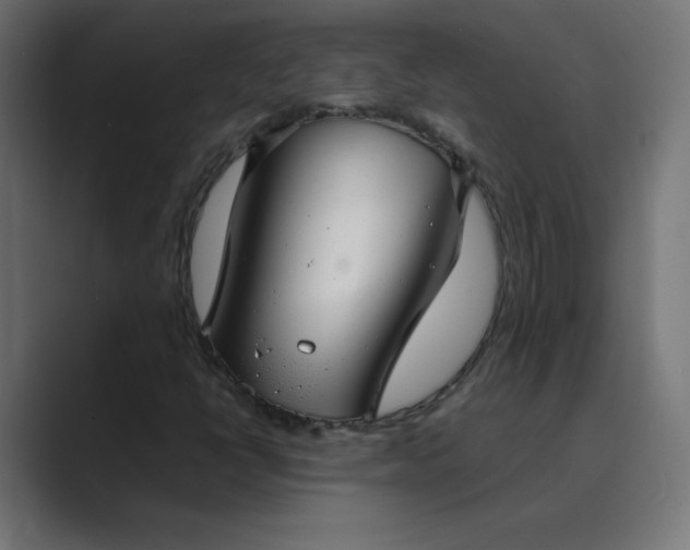 X0000089361398200706291032