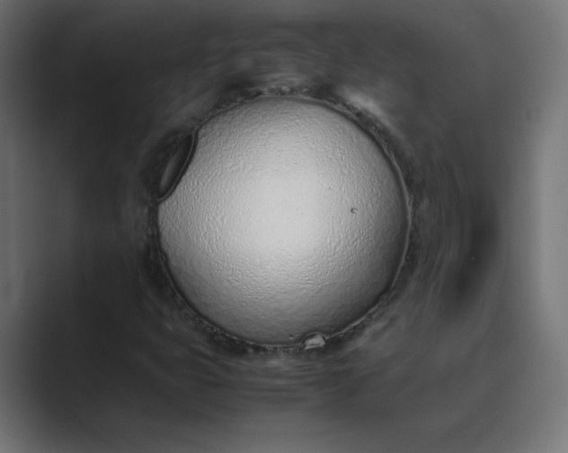 X0000089361399200706291032