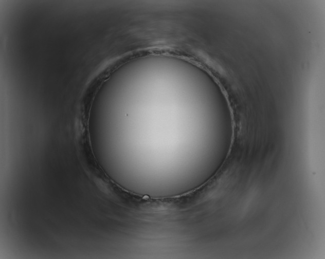 X0000089361400200706291032
