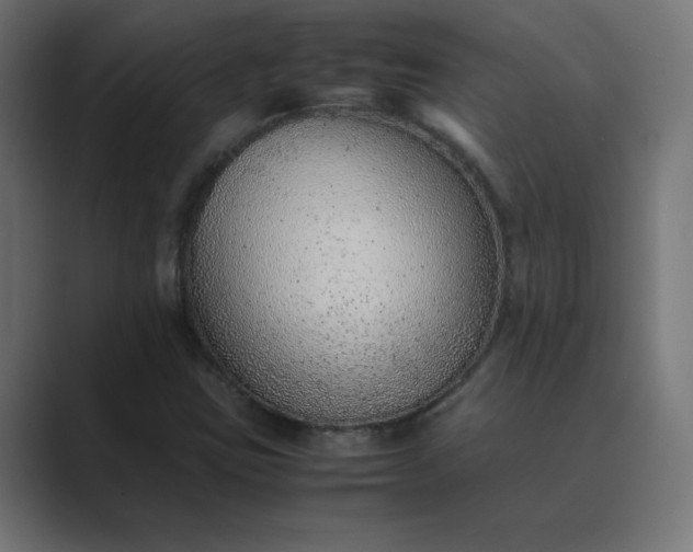 X0000089361403200706291032