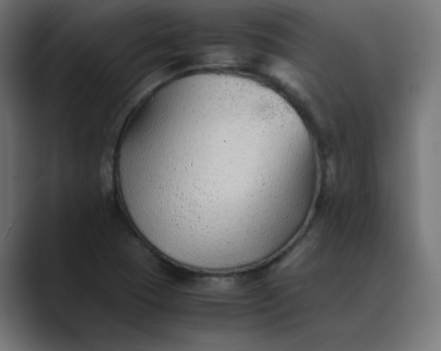 X0000089361409200706291032