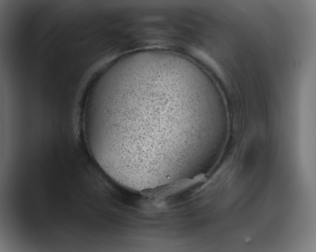 X0000089361411200706291032