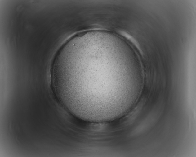 X0000089361415200706291032