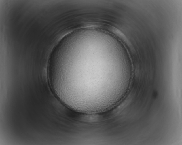X0000089361417200706291032