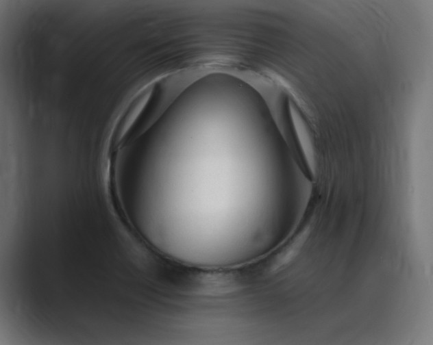 X0000089361418200706291032