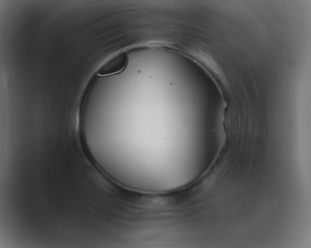 X0000089361420200706291032
