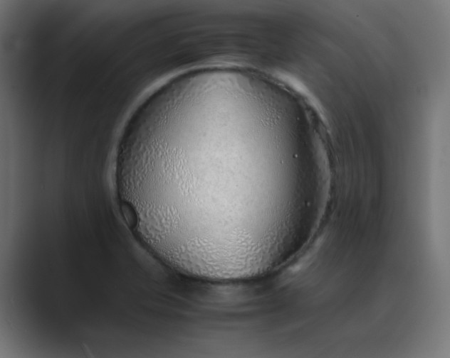 X0000089361421200706291032