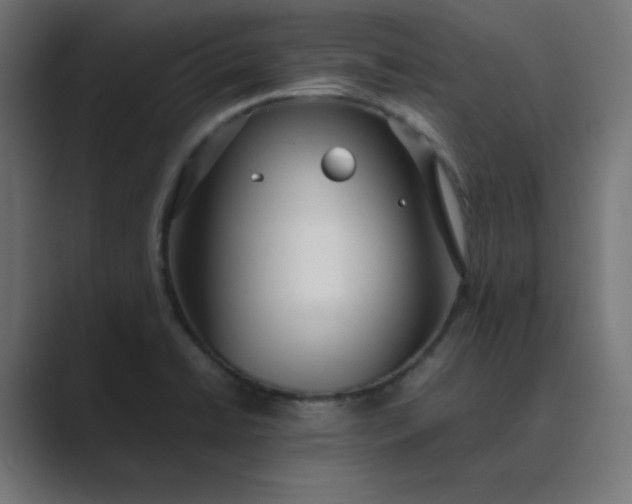 X0000089361422200706291032