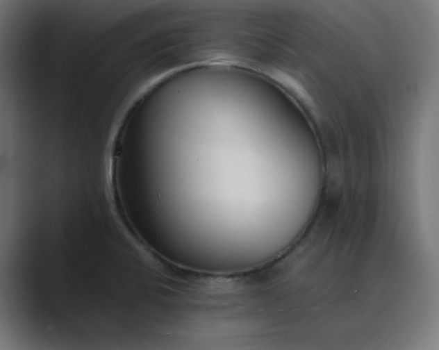 X0000089361424200706291032
