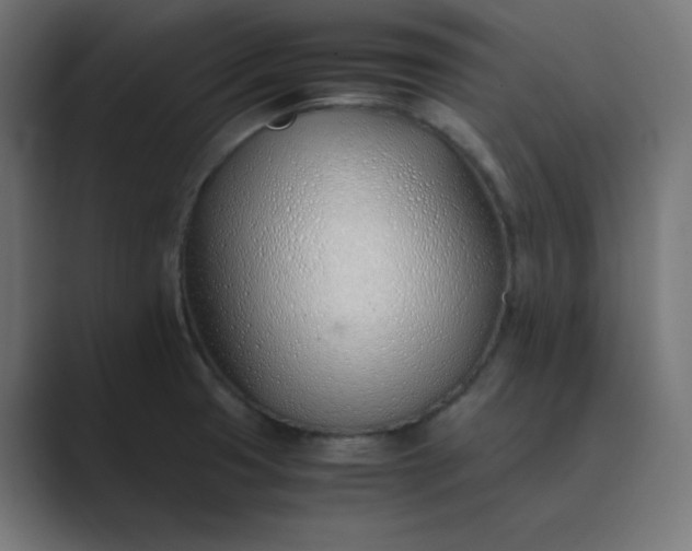 X0000089361425200706291032