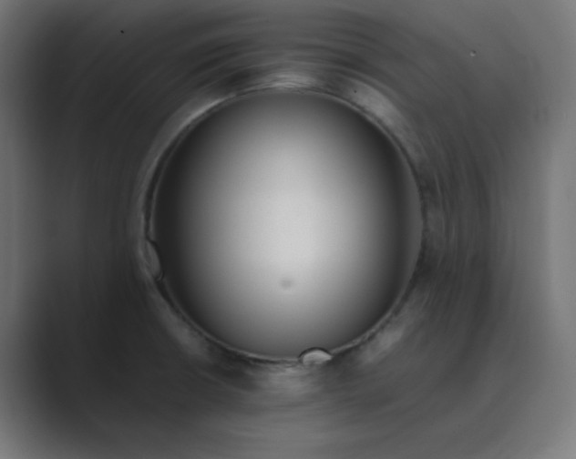 X0000089361426200706291032