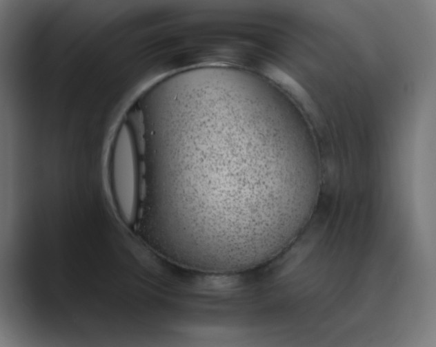 X0000089361427200706291032