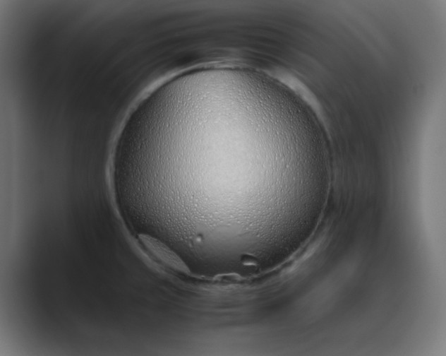 X0000089361429200706291032
