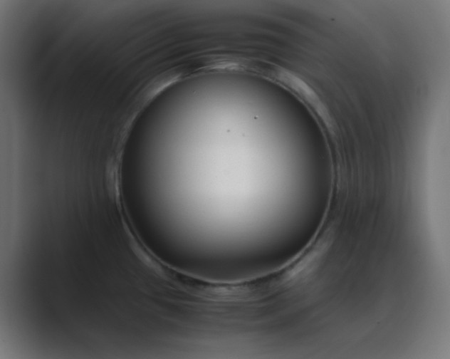 X0000089361433200706291032