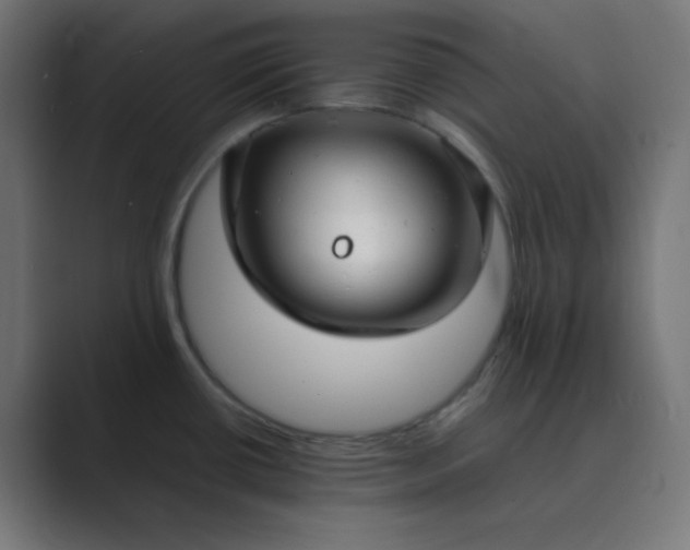 X0000089361434200706291032