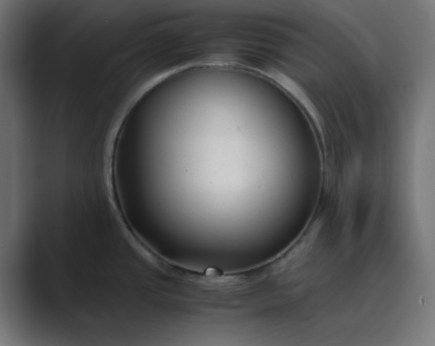 X0000089361437200706291032