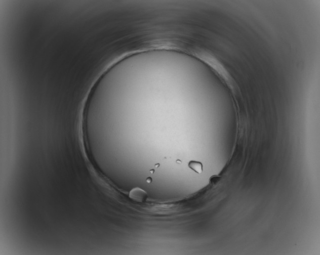 X0000089361439200706291032