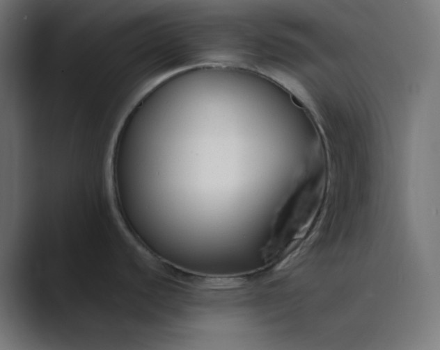 X0000089361440200706291032