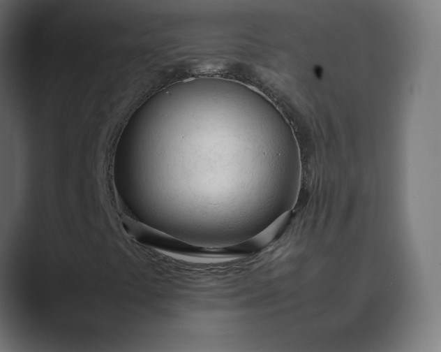 X0000089361441200706291032