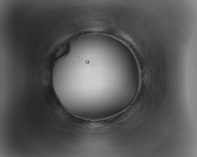 X0000089361448200706291032
