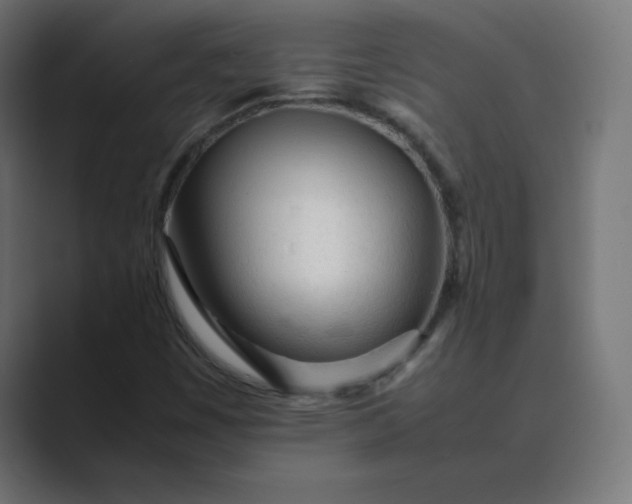 X0000089361449200706291032
